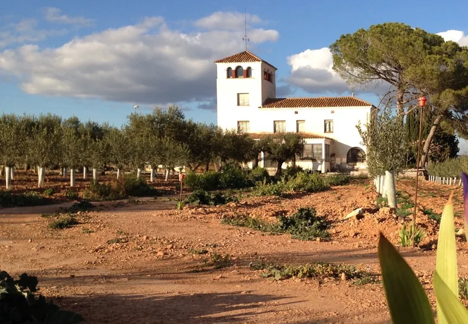 Granja Canals in Banyeres del Penedès