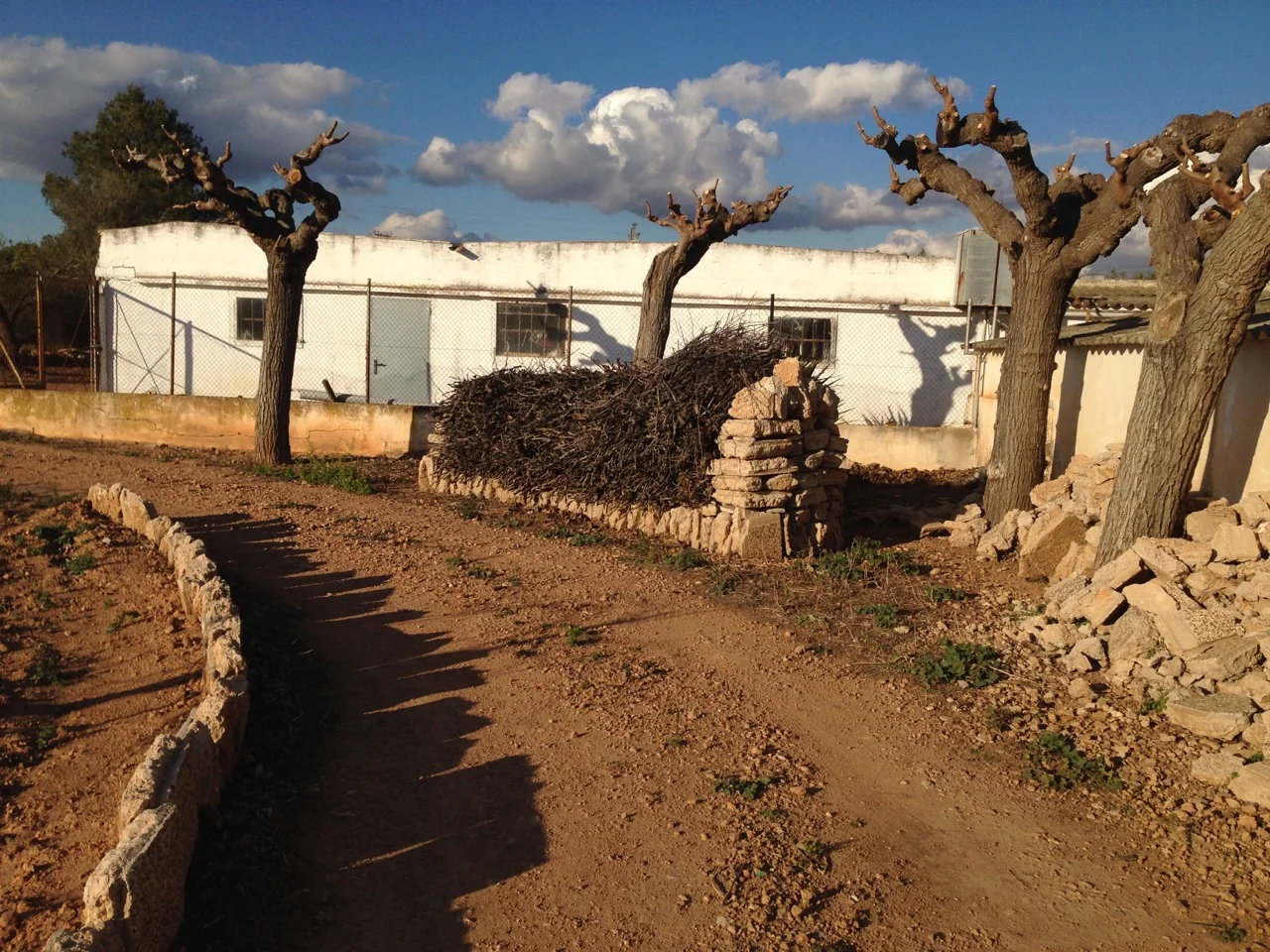 Land and outbuildings at Granja Canals