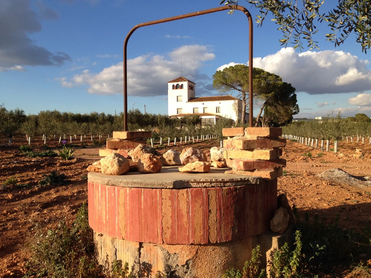 Land and well at Granja Canals