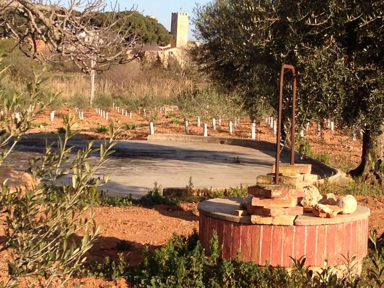 Land and well at Granja Canals